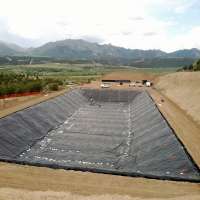 HDPE geomembrane in cheap price for construction companies made by geomembrane machine