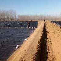 Factory 1mm 2mm  HDPE Geomembrane / HDPE Lining / Geomembrane Liner